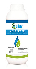 Quday Adherente.jpg