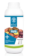 DI-O PAPA.jpg