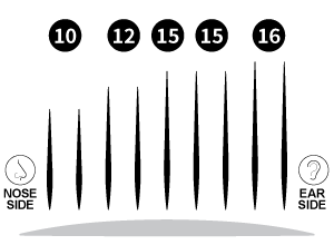 INFO_GRAPHIC_BR322.png