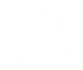 logo SHUB SKILLS