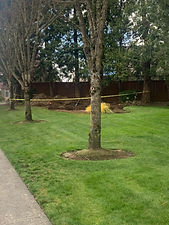 image0 (1).jpeg