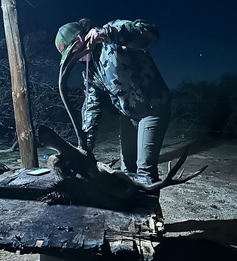 Measuring deer pictures _edited.jpg