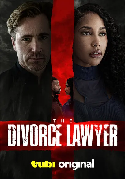 The Divorce Lawyer poster
