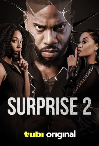 Surprise 2 poster