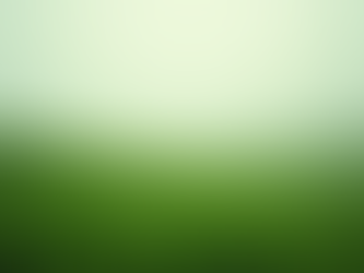 Simple Steps to Incorporate Eco-Friendly Products in Your Life