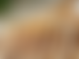 Exploring Eco-Friendly Hygiene Products in Pakistan