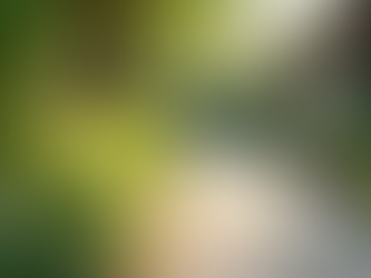 Why Sustainable Choices Matter in Care Homes: Exploring Eco-Friendly Care Home Options