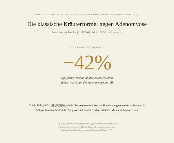Guizhi Fuling Wan bei Adenomyose – Wirkmechanismus der klassischen
TCM-Kräuterformel zur Reduktion der krankhaften Zellaktivität im Myometrium