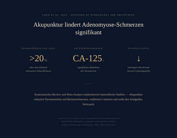 Wissenschaftliche Meta-Analyse 2024: Akupunktur reduziert Schmerzen und
Läsionen bei Adenomyose signifikant – Archives of Gynecology