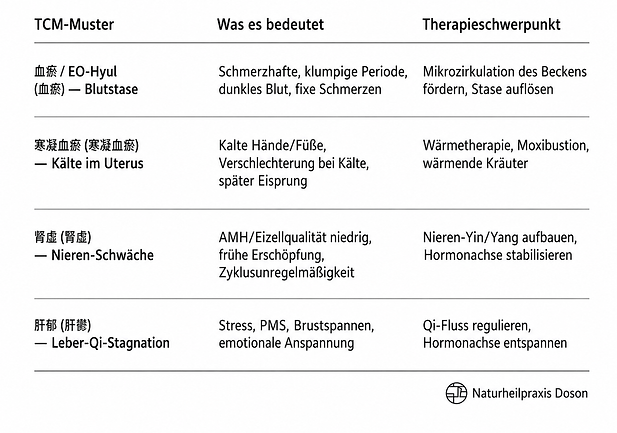 Tabelle der vier TCM-Muster bei Endometriose und Kinderwunsch – Blutstase, Kälte im Uterus, Nieren-Schwäche und Leber-Qi-Stagnation mit Therapieschwerpunkten in der Naturheilpraxis Doson