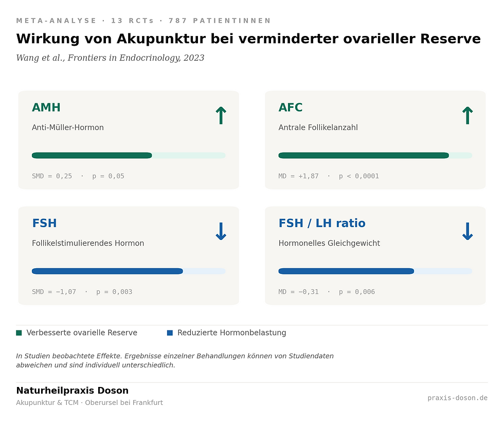Alt text (독일어 — Wix에 입력):
Akupunktur bei verminderter ovarieller Reserve – Meta-Analyse 2023 mit 13 RCTs und 787 Patientinnen zeigt erhöhte AMH-Werte und antrale Follikelanzahl sowie reduzierte FSH-Werte und FSH/LH-Ratio