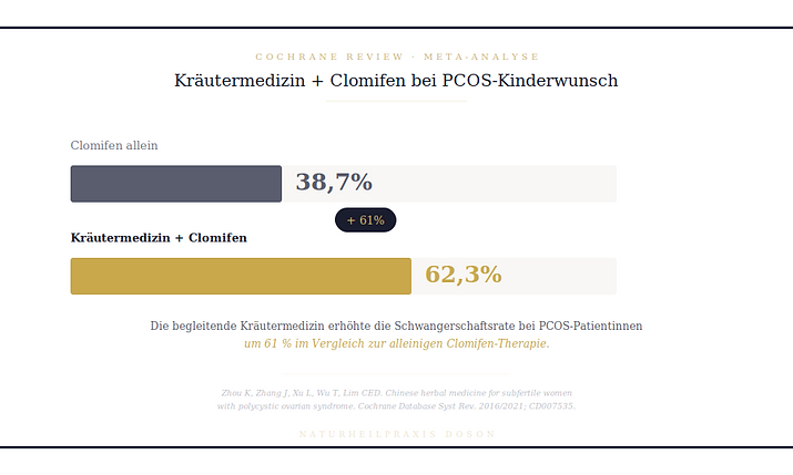 Clomifen begleitende Kraeter in der TCM beim Kinderwunsch