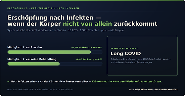 Infografik: Chinesische Kräutermedizin bei Erschöpfung nach Infekten und Long COVID – systematische Übersicht von 19 Studien mit 1.921 Patienten – TCM bei post-viraler Müdigkeit, Naturheilpraxis Doson Oberursel bei Frankfurt