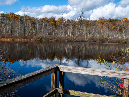 Penwood + Horse Guard State Parks | Connecticut