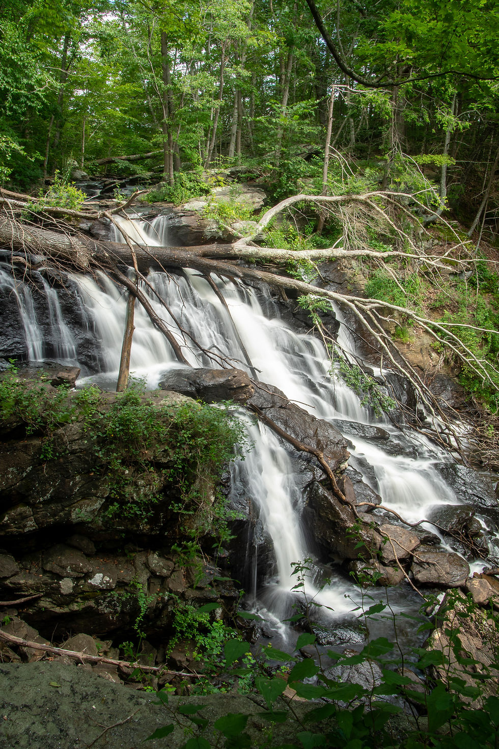 Berstein Waterfall