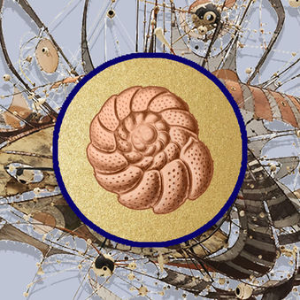 Digital Mock-up for painting