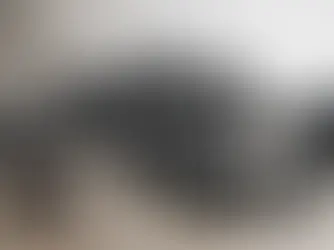 Different Types of Optics for AR-15s