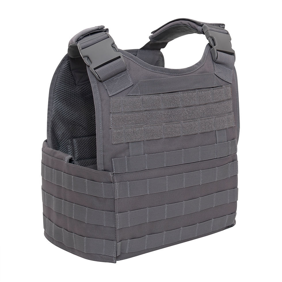 Thumbnail: Rothco Molle Plate Carrier Vest
