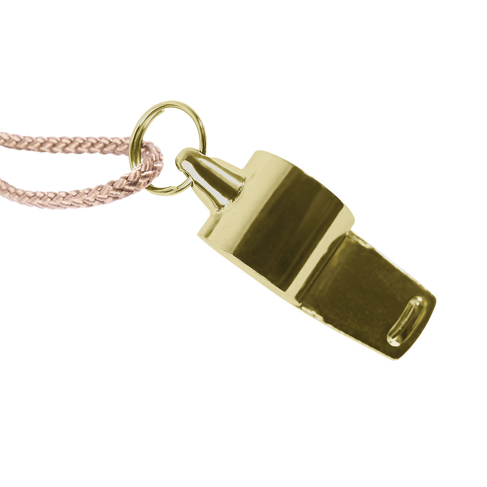 Thumbnail: Rothco  GI Style Police Whistle