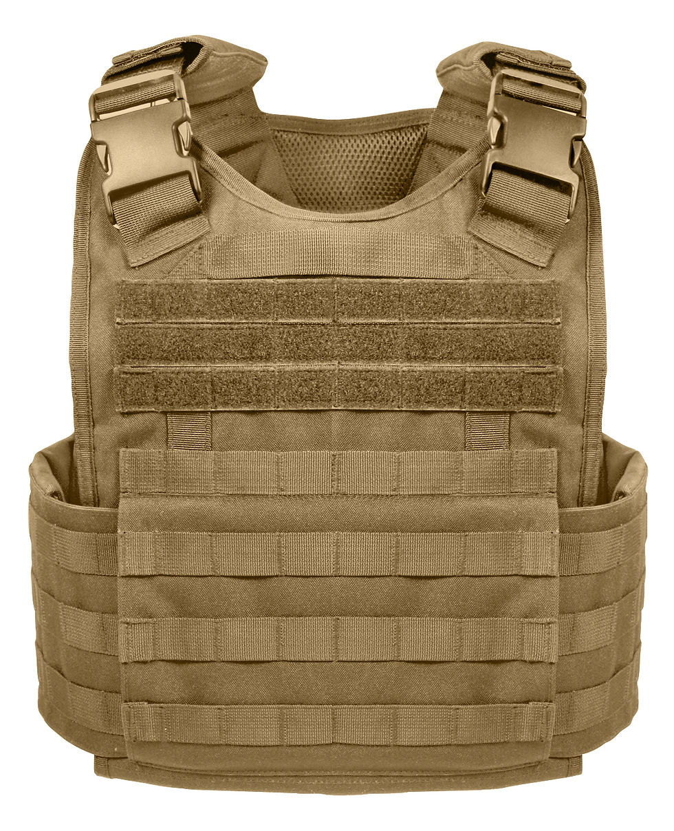 Thumbnail: Rothco Molle Plate Carrier Vest