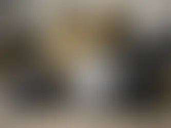 Plate Carrier Ballistic Insert Guide