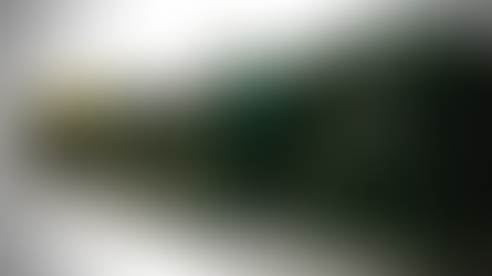 Trilib’ : le saccage de Paris continue !