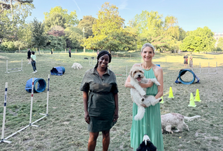 Parc Monceau : l’espace de liberté pour les chiens rouvre. Promesse tenue !