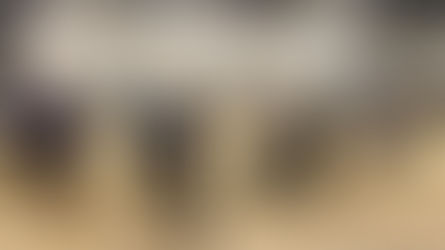 Compte rendu de notre dernier conseil d’arrondissement