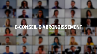 E-conseil d'arrondissement du 22 juin 2021