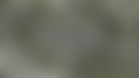 Fleurissement à venir du rond-point des Champs-Elysées : à juger sur place