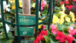 Rue de la Bienfaisance : réunion de présentation de la future palette végétale