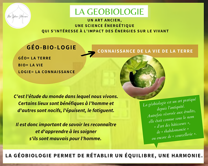 La géobiologie, c'est quoi?