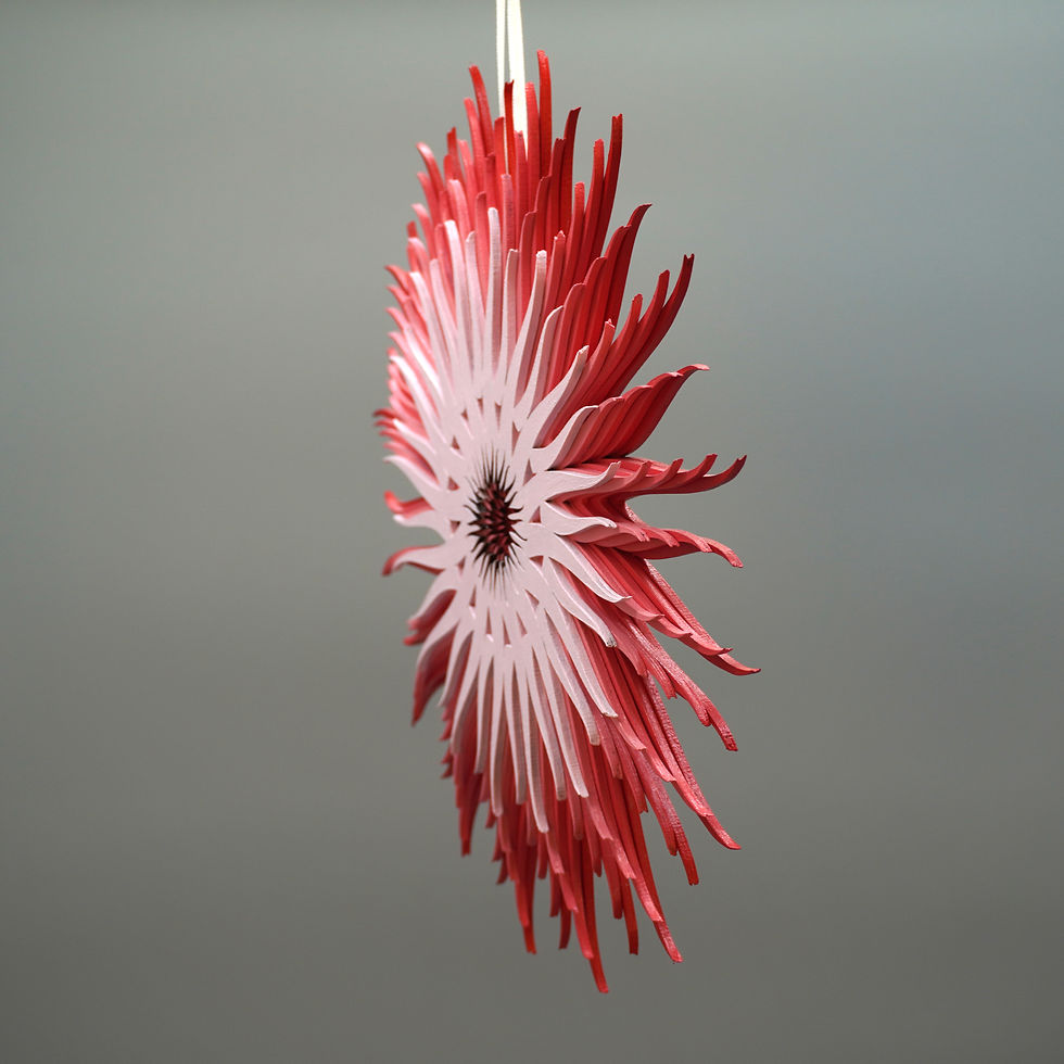Miniaturbild: Sonne