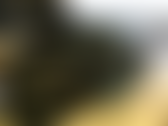 レクサス IS250　車高調、サブウーファー取付け