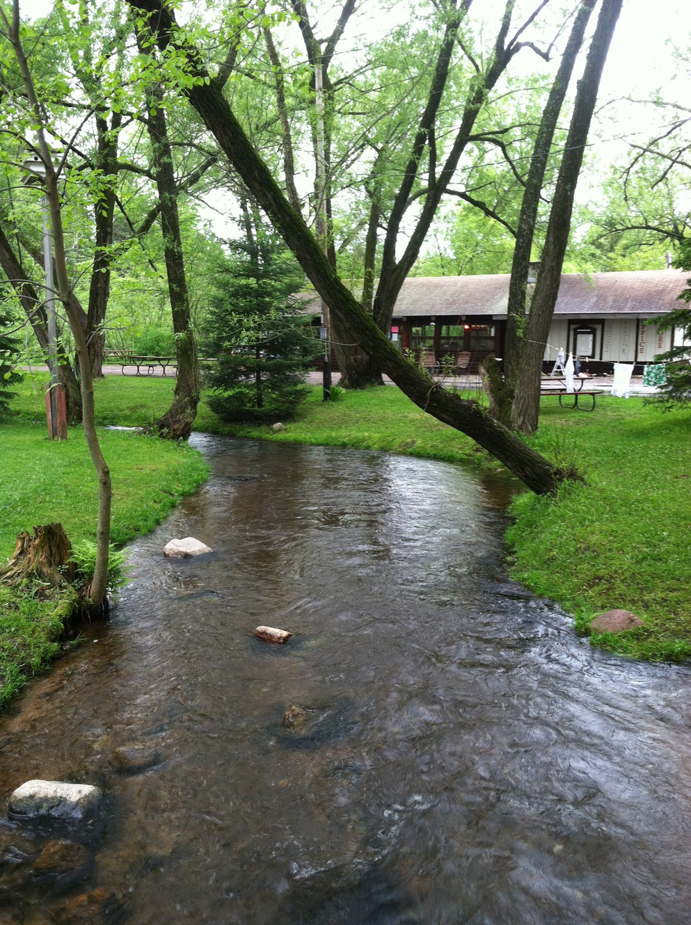 Arbor Vitae Campground campgrounds in wisconsin 10545 Big Arbor