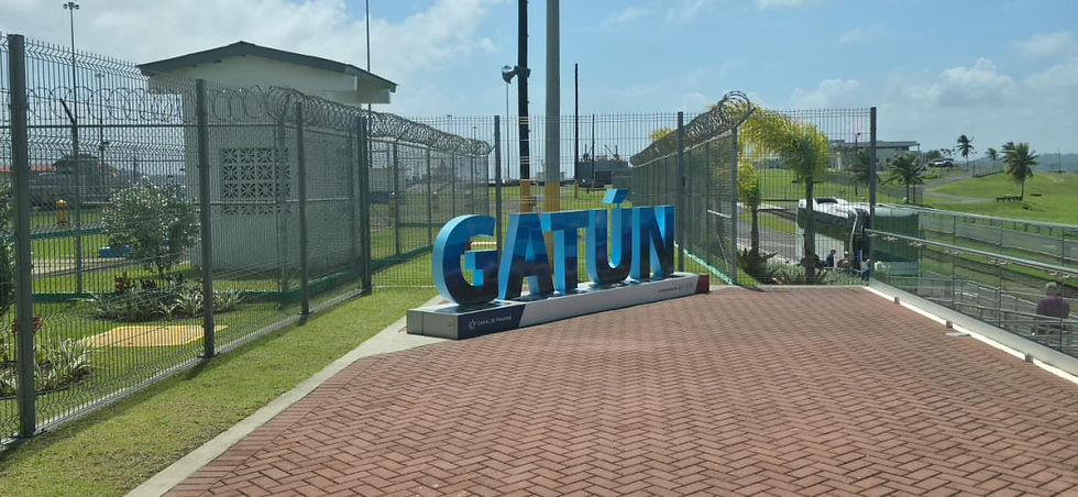 WhatsApp Image 2026-03-20 at 3.51.46 PM