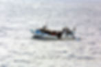 boat-998966_1920.jpg