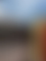 Trabajo reciente en Villa Devoto: portón levadizo hecho automático 🎉