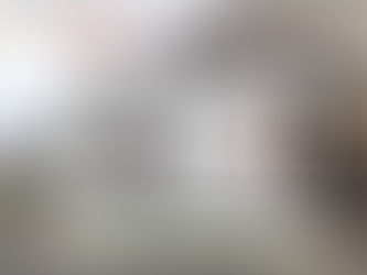 テレビで紹介されました！