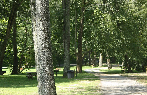 Walking trail at East Park