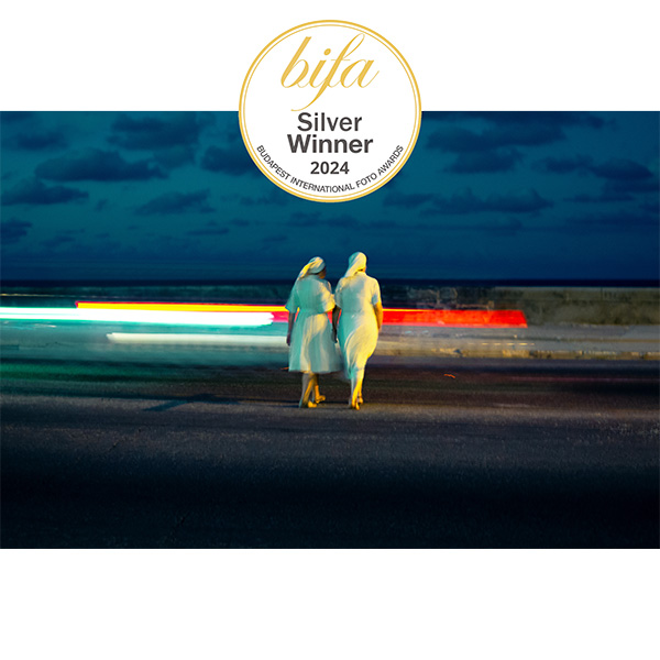 Silver Winner BIFA - FEARLESS TRUST