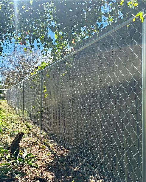 Chain Link Fence