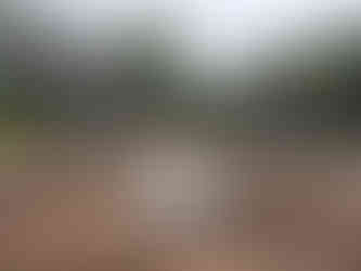 אתר ההנצחה ליהודים ובו שערי בית הכנסת שנמצאו בחפירות