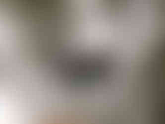 הברבור השחור