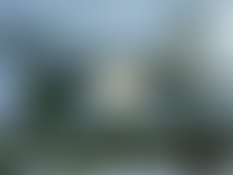 פסל דאון מתכת ירוק עם סמל כוכב על שדה מושלג. שמיים מעוננים, אדם הולך עם כלב ברקע.