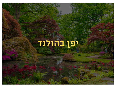 הולנד אחרת: גנים יפניים ופריחת הדובדבן