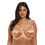 Thumbnail: Elomi Cate Full Cup Banded Bra -Hazel