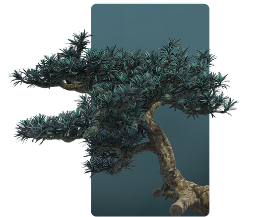 Bonsai Tree.png