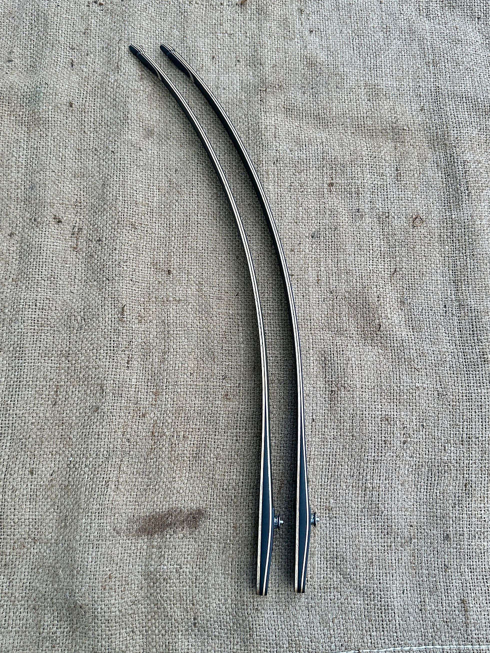 Thumbnail: Stealth Series LB Limbs, Black Glass, Medium, 42@28