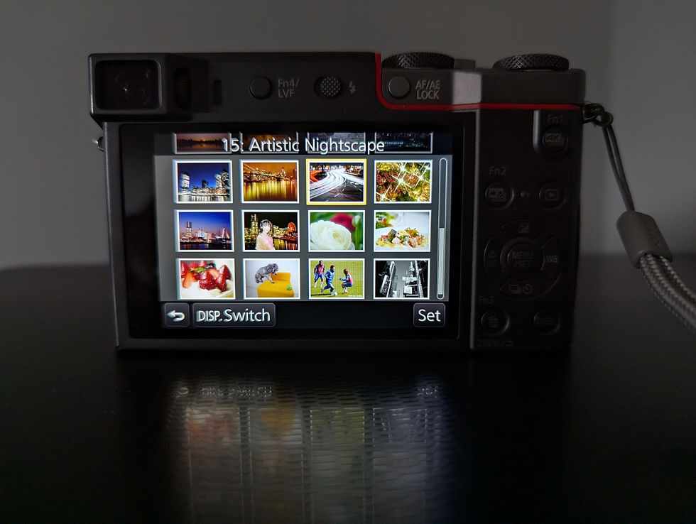 Some scenes available on a Panasonic